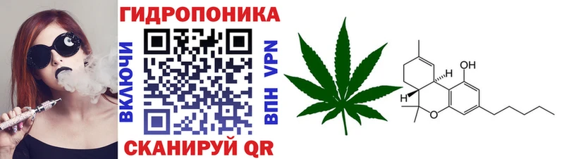 Конопля марихуана  Купить закладки  Чулым 
